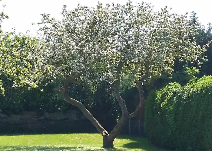 Ferienbungalow Mit Terrasse Vorteilspreis Waehrend Neubau Casa vacanze *